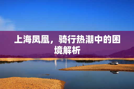 上海凤凰，骑行热潮中的困境解析