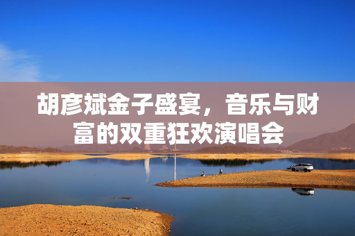 胡彦斌金子盛宴，音乐与财富的双重狂欢演唱会
