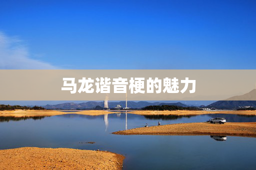 马龙谐音梗的魅力