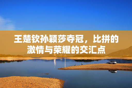 王楚钦孙颖莎夺冠，比拼的激情与荣耀的交汇点