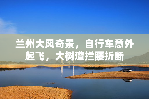 兰州大风奇景，自行车意外起飞，大树遭拦腰折断