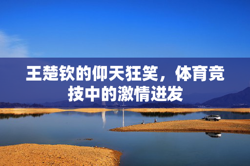 王楚钦的仰天狂笑，体育竞技中的激情迸发