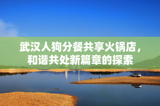 武汉人狗分餐共享火锅店，和谐共处新篇章的探索