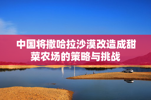 中国将撒哈拉沙漠改造成甜菜农场的策略与挑战