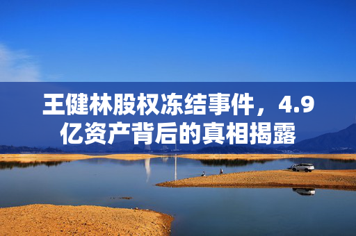 王健林股权冻结事件，4.9亿资产背后的真相揭露
