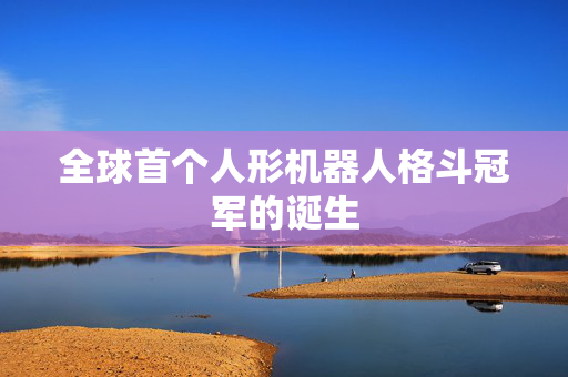 全球首个人形机器人格斗冠军的诞生