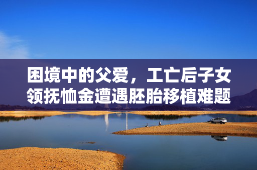 困境中的父爱，工亡后子女领抚恤金遭遇胚胎移植难题