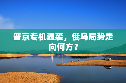 普京专机遇袭，俄乌局势走向何方？