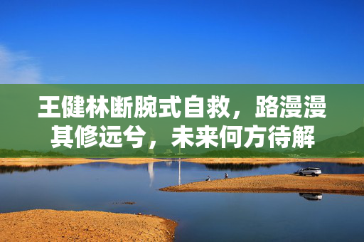 王健林断腕式自救，路漫漫其修远兮，未来何方待解