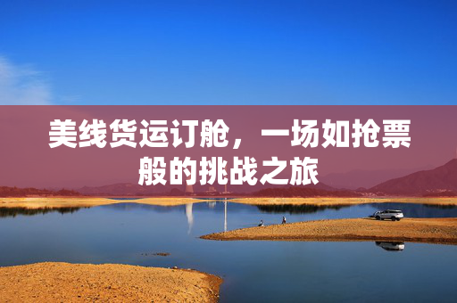 美线货运订舱，一场如抢票般的挑战之旅