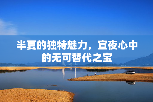 半夏的独特魅力，宣夜心中的无可替代之宝
