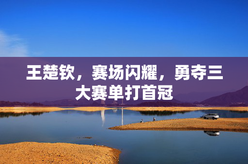 王楚钦，赛场闪耀，勇夺三大赛单打首冠