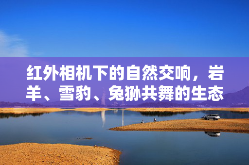 红外相机下的自然交响，岩羊、雪豹、兔狲共舞的生态之歌