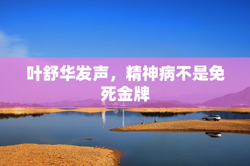叶舒华发声，精神病不是免死金牌