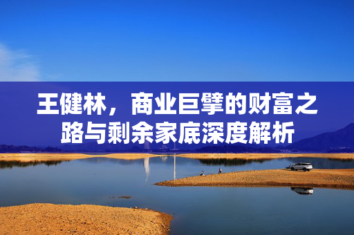 王健林，商业巨擘的财富之路与剩余家底深度解析