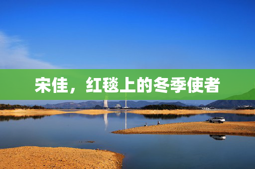 宋佳，红毯上的冬季使者