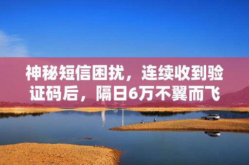 神秘短信困扰，连续收到验证码后，隔日6万不翼而飞之谜团解析