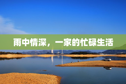 雨中情深，一家的忙碌生活