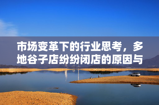 市场变革下的行业思考，多地谷子店纷纷闭店的原因与影响