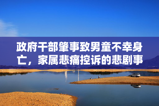 政府干部肇事致男童不幸身亡，家属悲痛控诉的悲剧事件