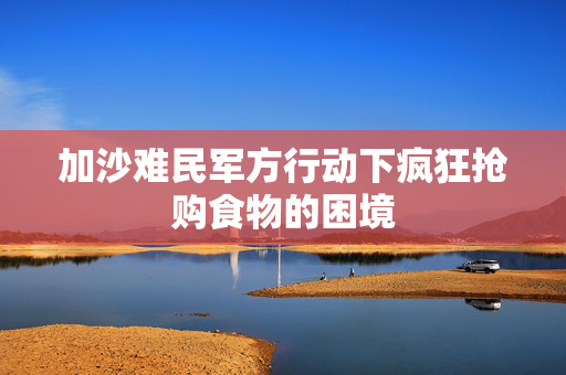 加沙难民军方行动下疯狂抢购食物的困境