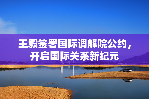 王毅签署国际调解院公约，开启国际关系新纪元