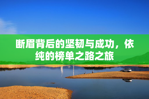 断眉背后的坚韧与成功，依纯的榜单之路之旅