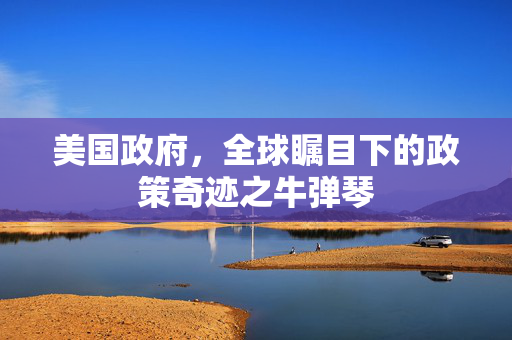 美国政府，全球瞩目下的政策奇迹之牛弹琴