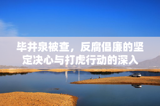 毕井泉被查，反腐倡廉的坚定决心与打虎行动的深入