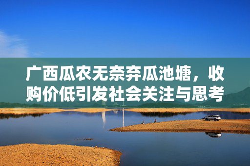 广西瓜农无奈弃瓜池塘，收购价低引发社会关注与思考
