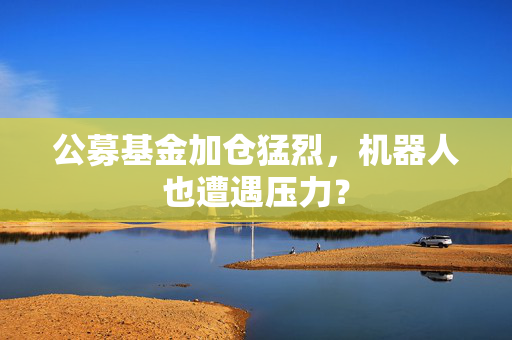 公募基金加仓猛烈，机器人也遭遇压力？