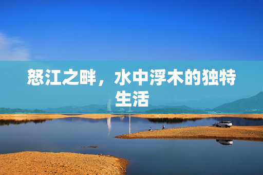怒江之畔，水中浮木的独特生活