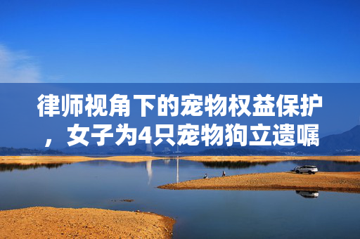 律师视角下的宠物权益保护，女子为4只宠物狗立遗嘱的法律解读