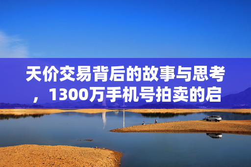 天价交易背后的故事与思考，1300万手机号拍卖的启示