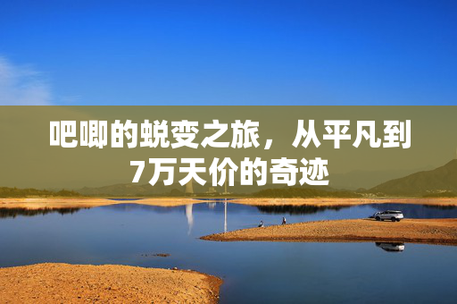 吧唧的蜕变之旅，从平凡到7万天价的奇迹