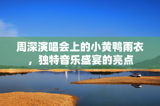 周深演唱会上的小黄鸭雨衣，独特音乐盛宴的亮点