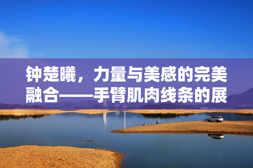 钟楚曦，力量与美感的完美融合——手臂肌肉线条的展示