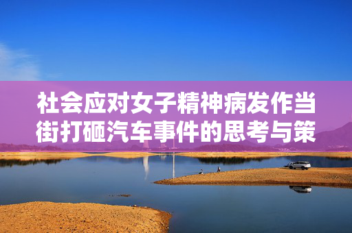 社会应对女子精神病发作当街打砸汽车事件的思考与策略