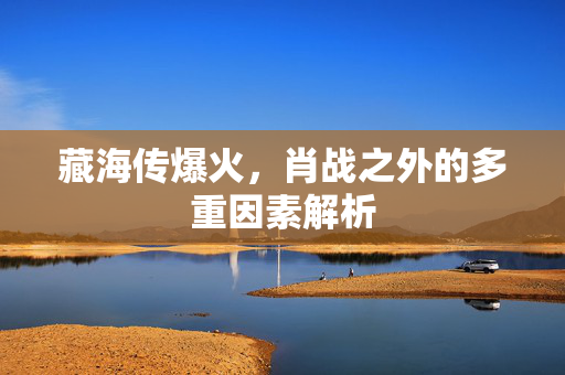 藏海传爆火，肖战之外的多重因素解析