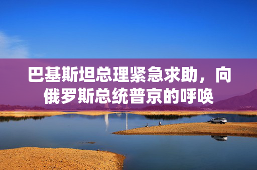 巴基斯坦总理紧急求助，向俄罗斯总统普京的呼唤
