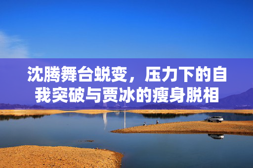 沈腾舞台蜕变，压力下的自我突破与贾冰的瘦身脱相