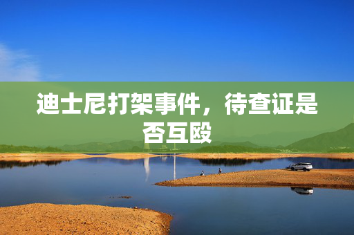 迪士尼打架事件，待查证是否互殴