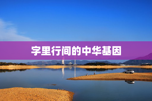 字里行间的中华基因