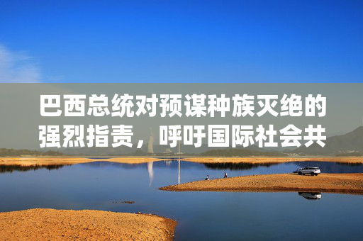 巴西总统对预谋种族灭绝的强烈指责，呼吁国际社会共同关注与行动