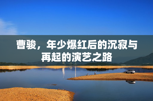 曹骏，年少爆红后的沉寂与再起的演艺之路