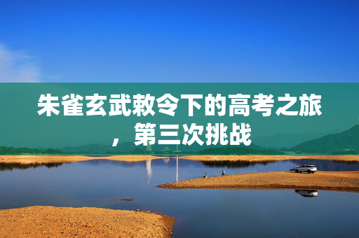 朱雀玄武敕令下的高考之旅，第三次挑战