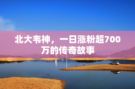 北大韦神，一日涨粉超700万的传奇故事