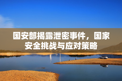 国安部揭露泄密事件，国家安全挑战与应对策略