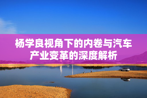杨学良视角下的内卷与汽车产业变革的深度解析