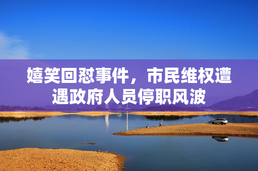 嬉笑回怼事件，市民维权遭遇政府人员停职风波